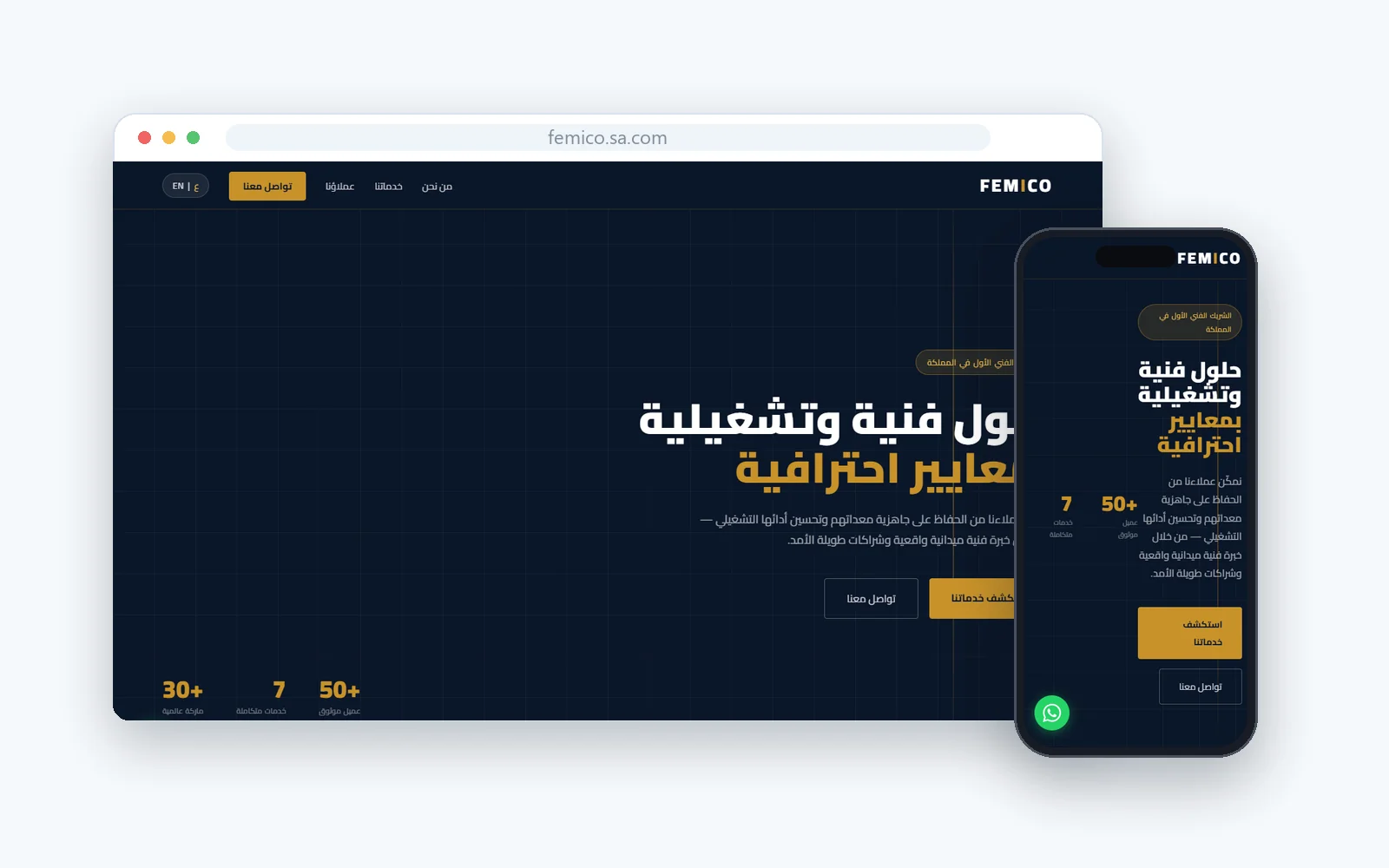 Femico website project screenshot